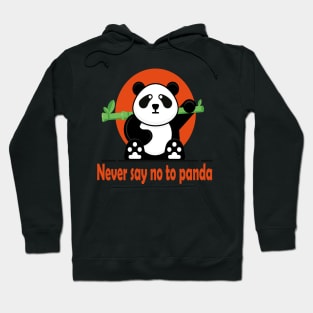 Funny Kung Fu Panda Hoodie